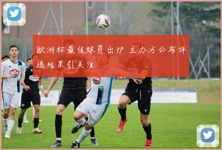 欧洲杯最佳球员出炉 主办方公布评选结果引关注