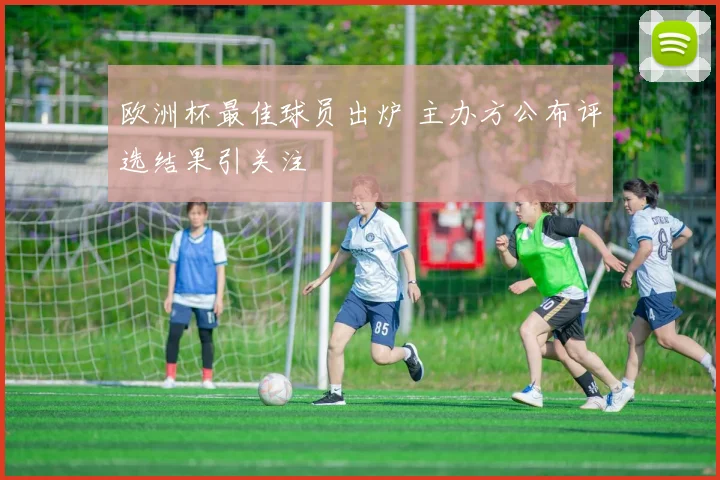欧洲杯最佳球员出炉 主办方公布评选结果引关注