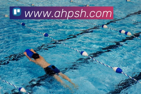 半岛网页版官网APP 封面图